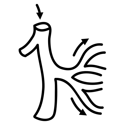 1. BEMER – érthetően, közérthetően